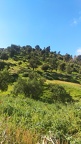 IMG 20210321 113452