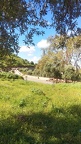 IMG 20210321 112830
