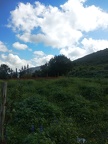IMG 20210321 112356